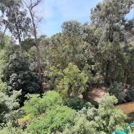 Forest View Lisboa Extérieur photo