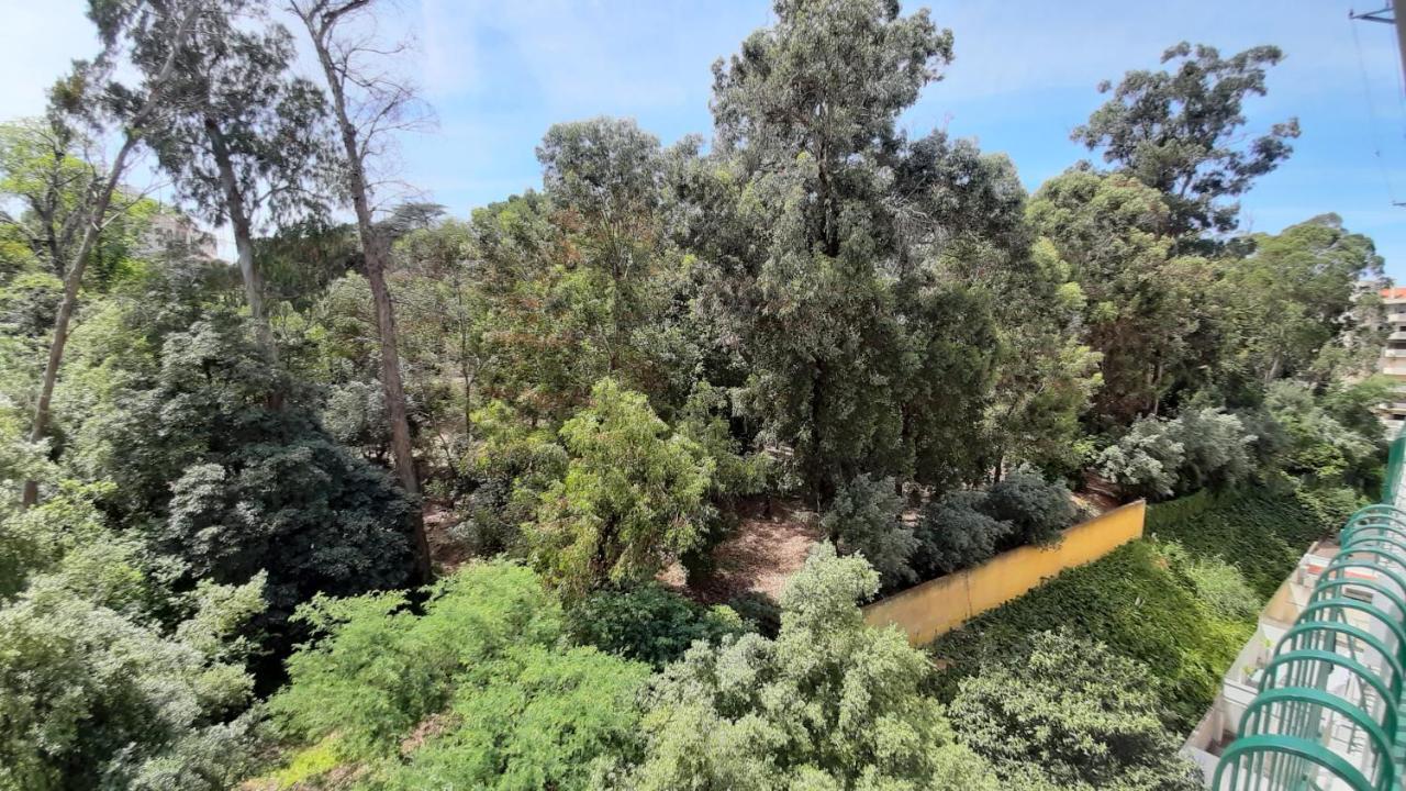 Forest View Lisboa Extérieur photo