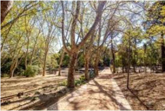 Forest View Lisboa Extérieur photo